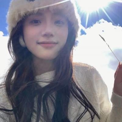 方案